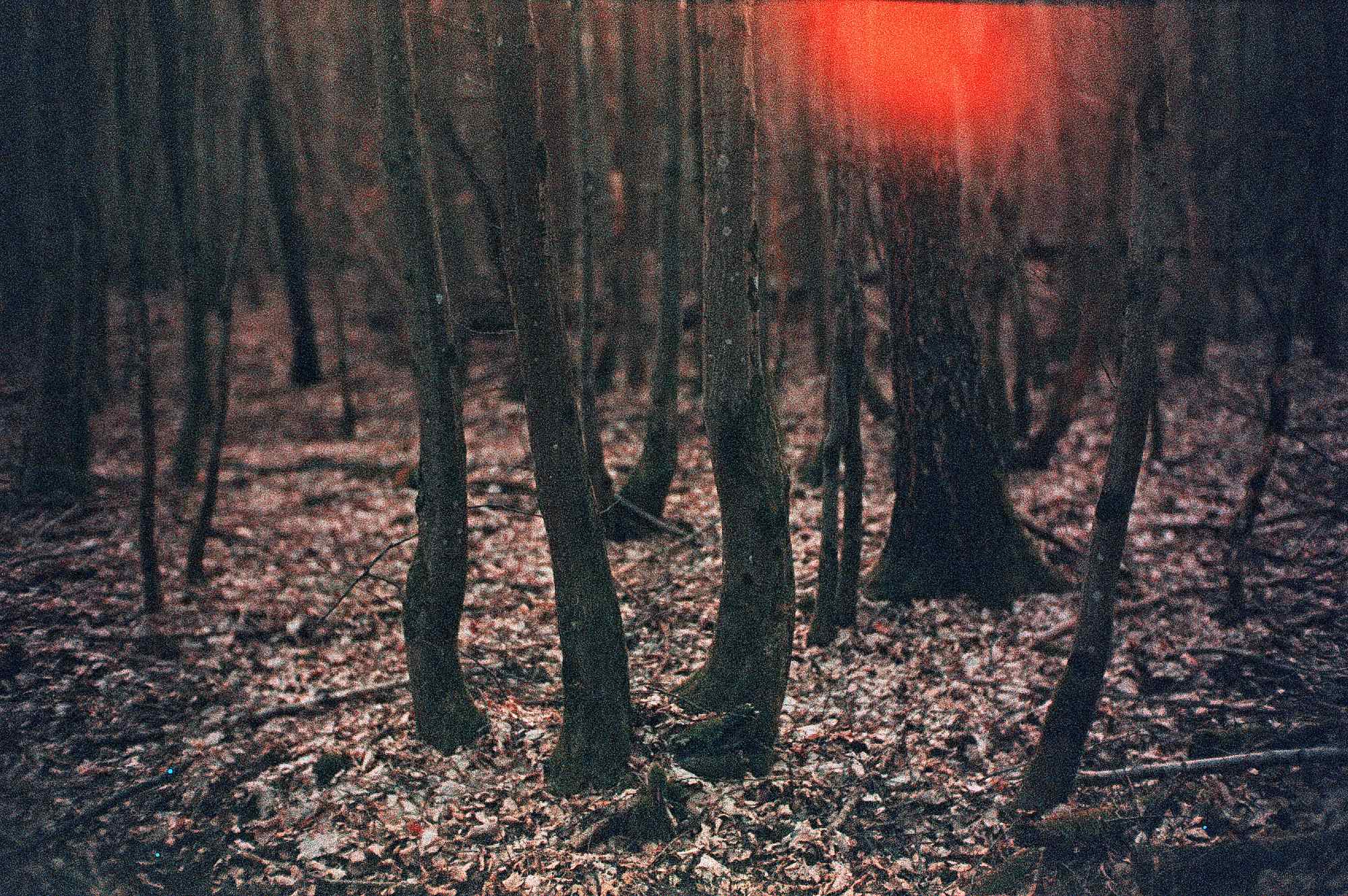 Vkl 2019 02 20 Leica CL 7Artisans Precisa cross (23)